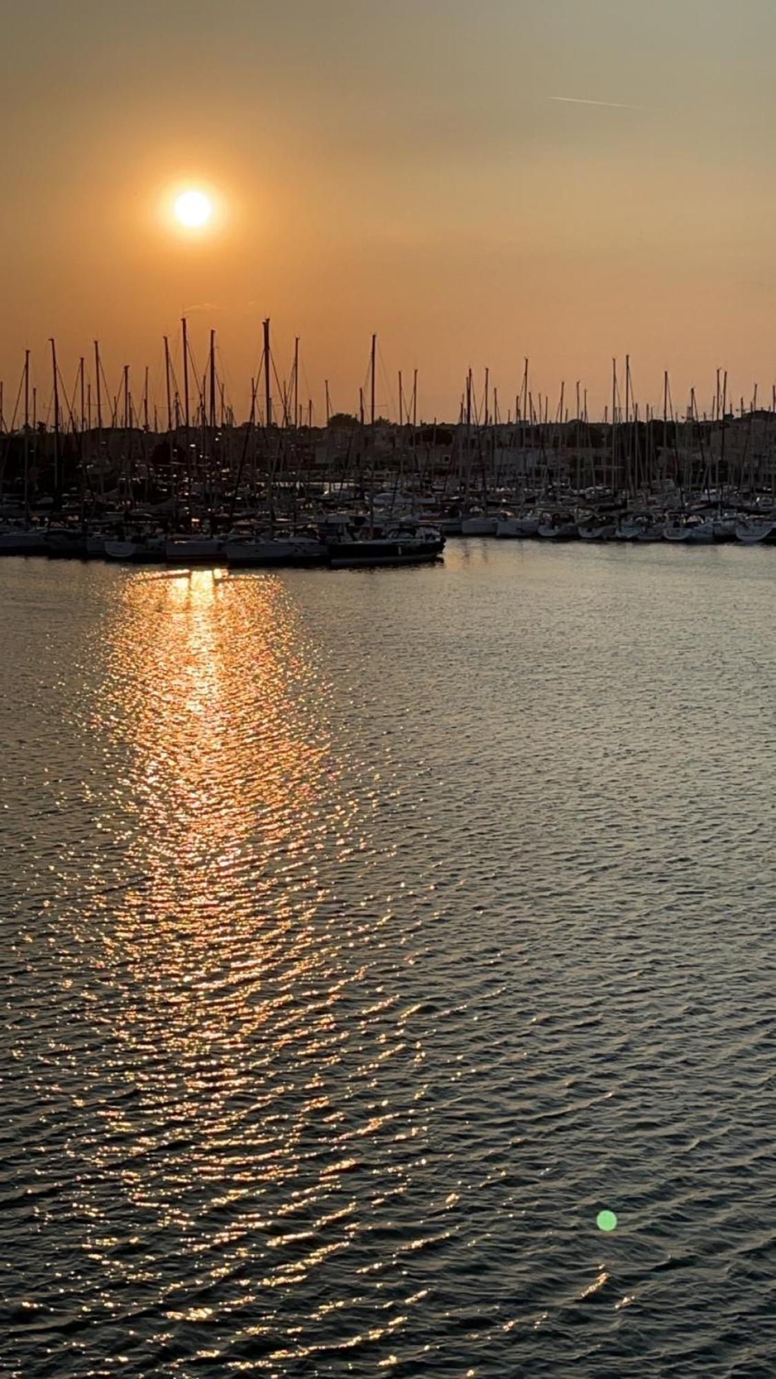 Studio Prestige Avec Terrasse, Ile Des Pecheurs, Vue Port Agde Zewnętrze zdjęcie